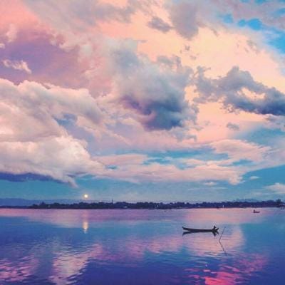 Lê Đình Phong avatar